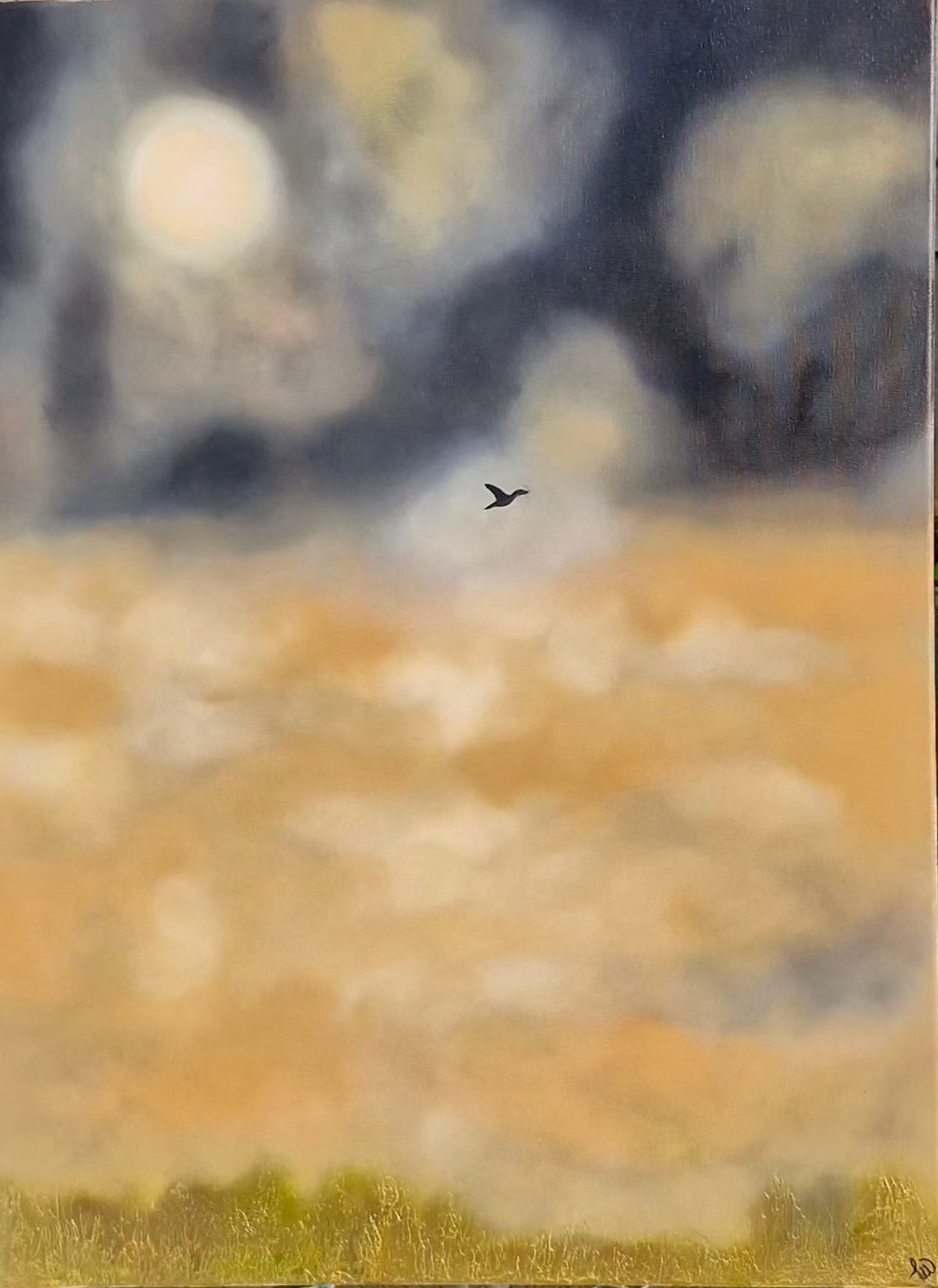 Flying Solo