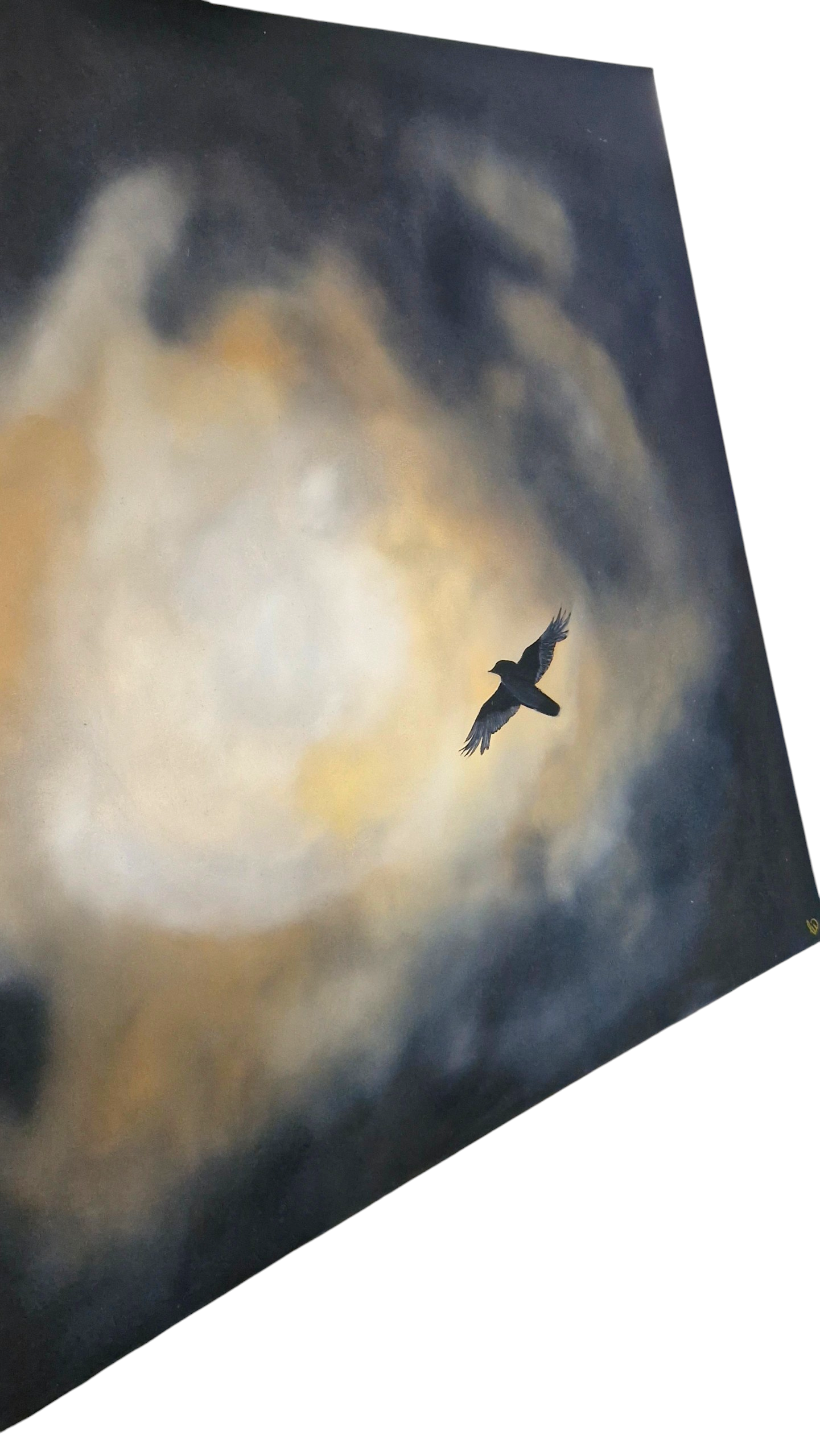 'Free Spirit'